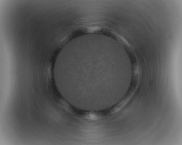 X0000114490565200910191233