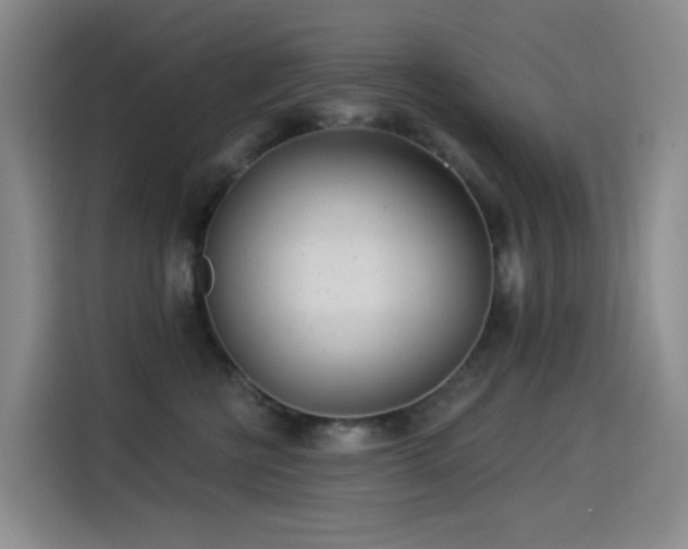 X0000114490570200910191233
