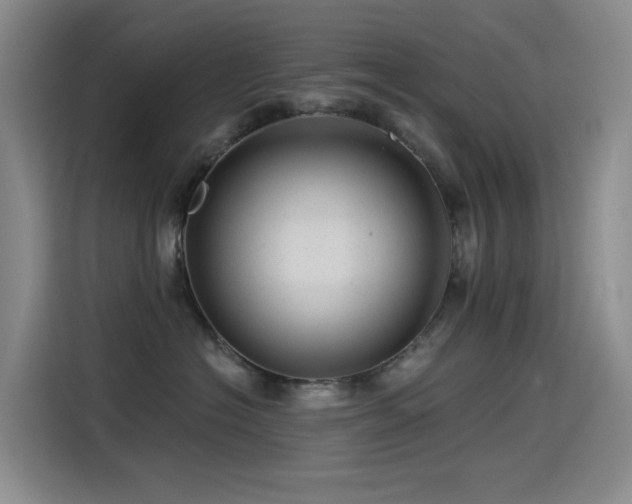 X0000114490574200910191233