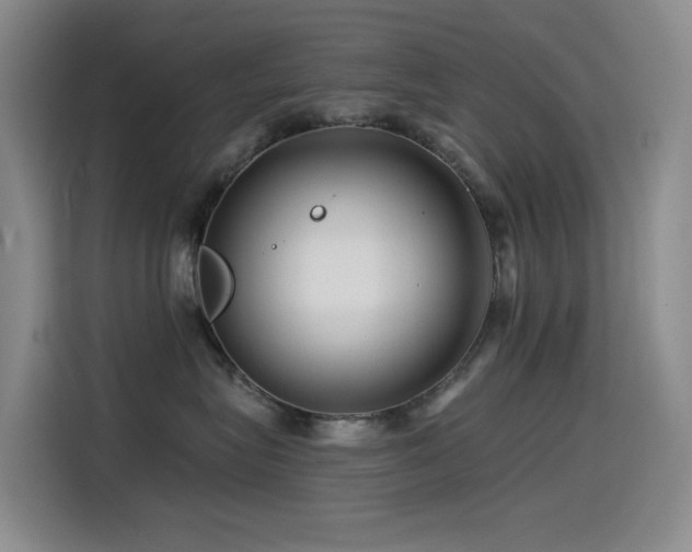 X0000114490575200910191233