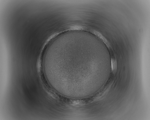 X0000114490579200910191233