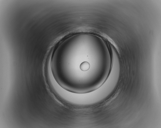 X0000114490581200910191232