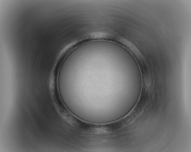X0000114490583200910191232
