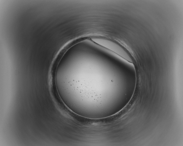 X0000114490584200910191232