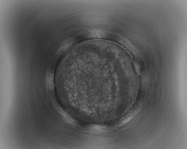 X0000114490585200910191232