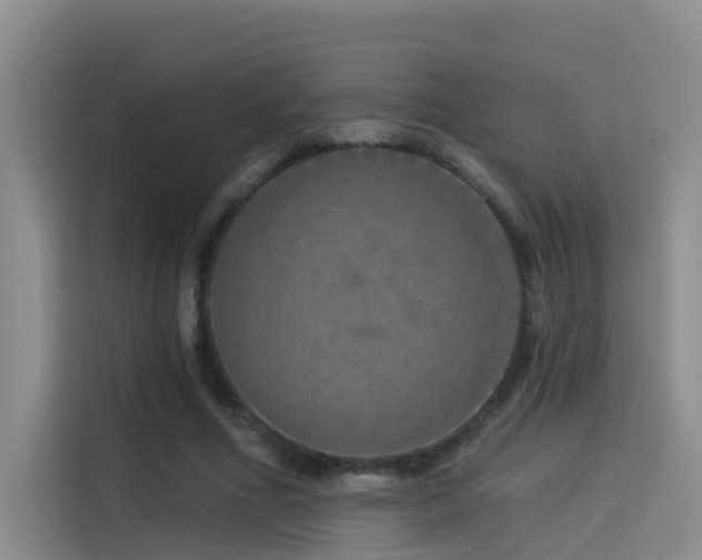 X0000114490586200910191232