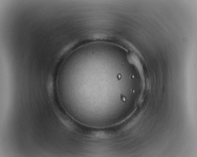 X0000114490588200910191232