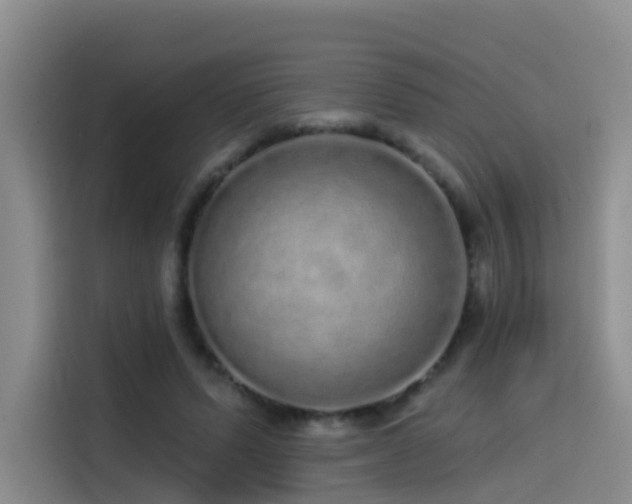X0000114490591200910191232