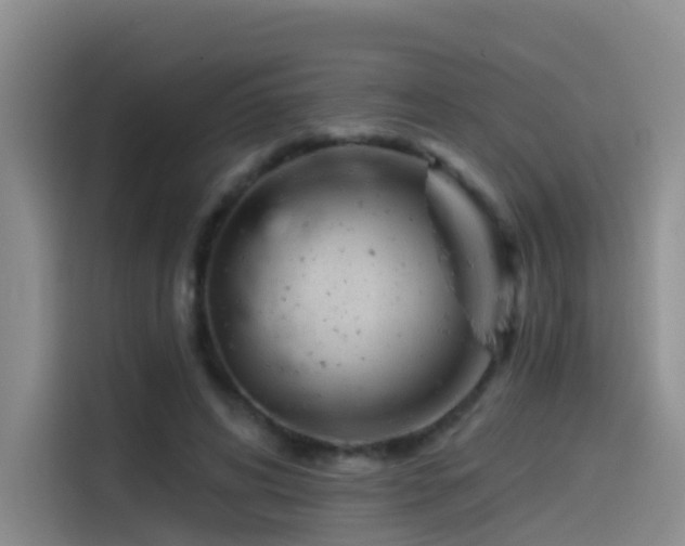 X0000114490592200910191232