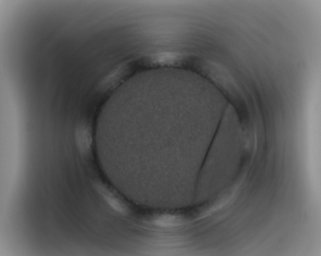 X0000114490593200910191232