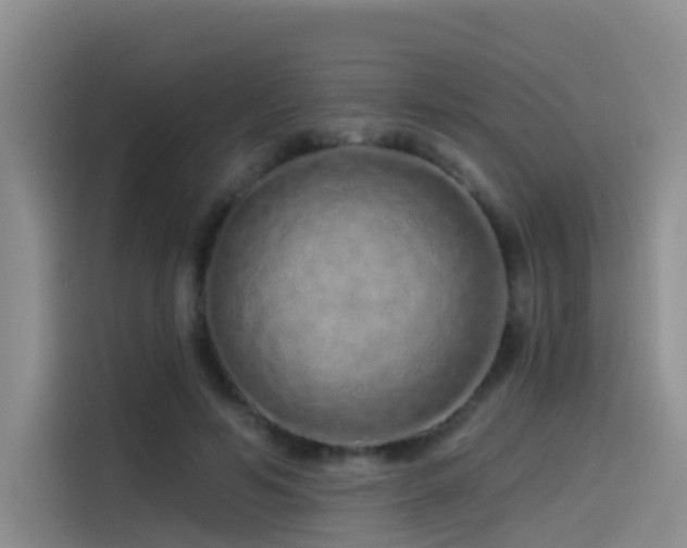 X0000114490594200910191232