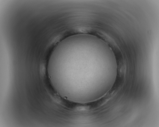X0000114490595200910191232