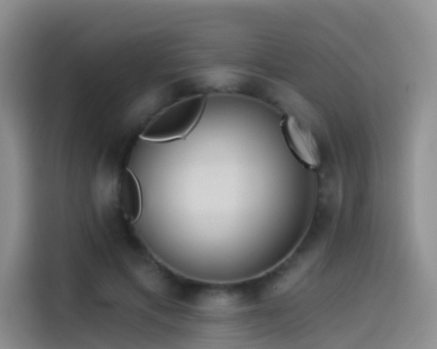 X0000114490597200910191232
