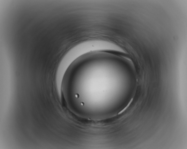 X0000114490599200910191232
