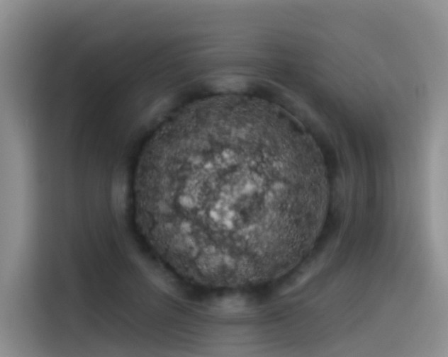 X0000114490600200910191232