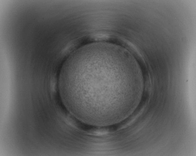 X0000114490604200910191232