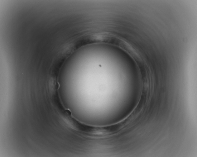 X0000114490605200910191232