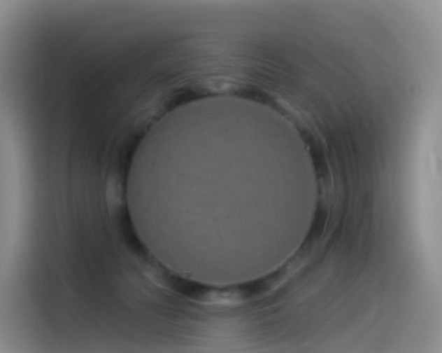 X0000114490606200910191232