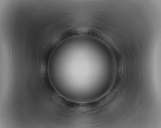 X0000114490608200910191232