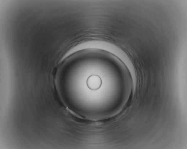 X0000114490609200910191232