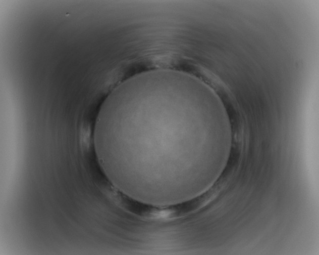 X0000114490610200910191232