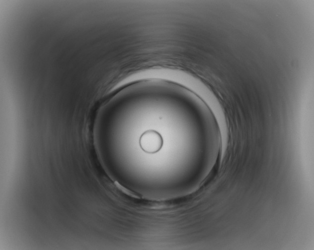X0000114490611200910191232
