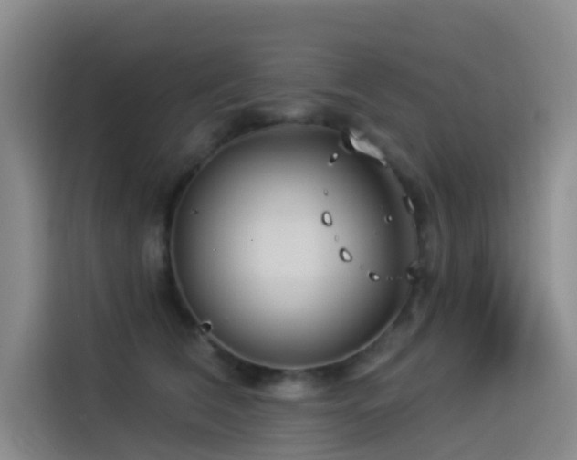 X0000114490612200910191232