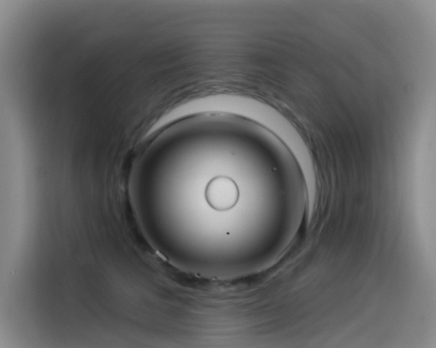 X0000114490613200910191232