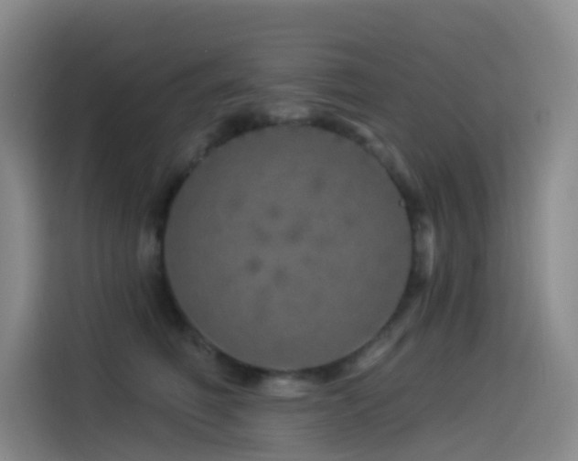 X0000114490614200910191232