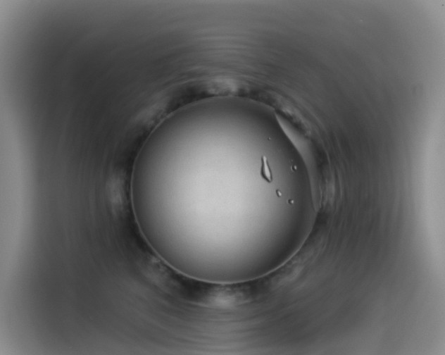X0000114490616200910191232