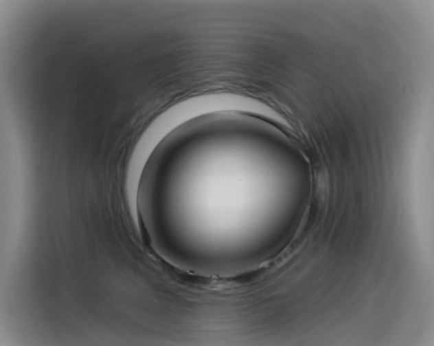 X0000114490617200910191232