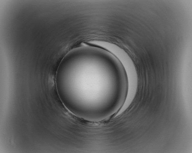 X0000114490621200910191232