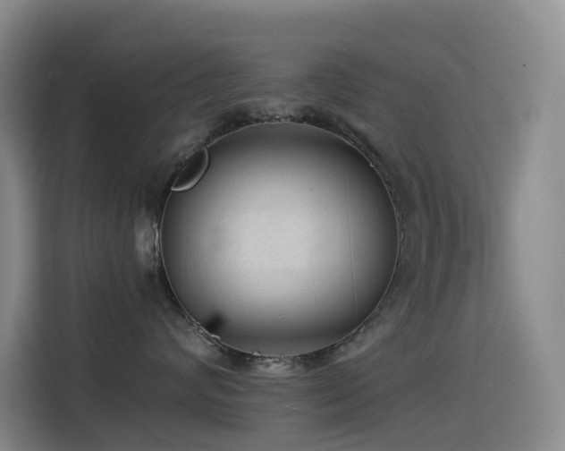 X0000114490624200910191232