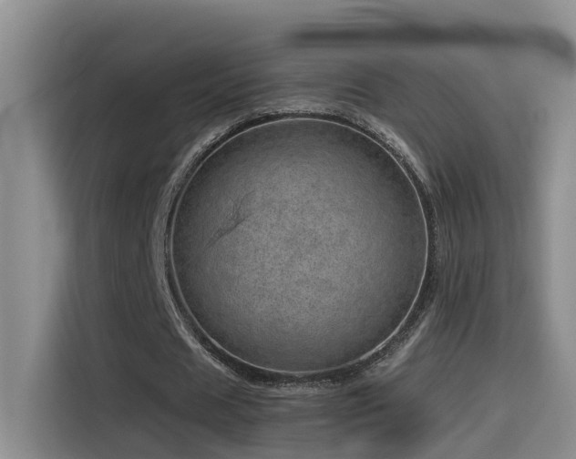 X0000114490625200910191231
