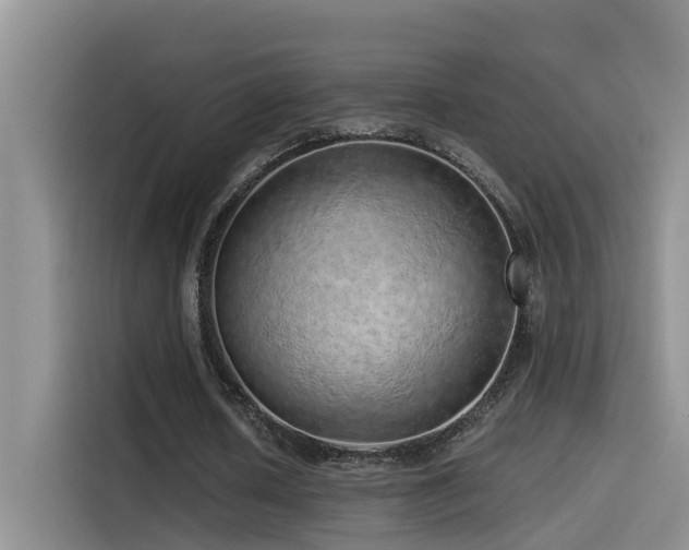 X0000114490626200910191231