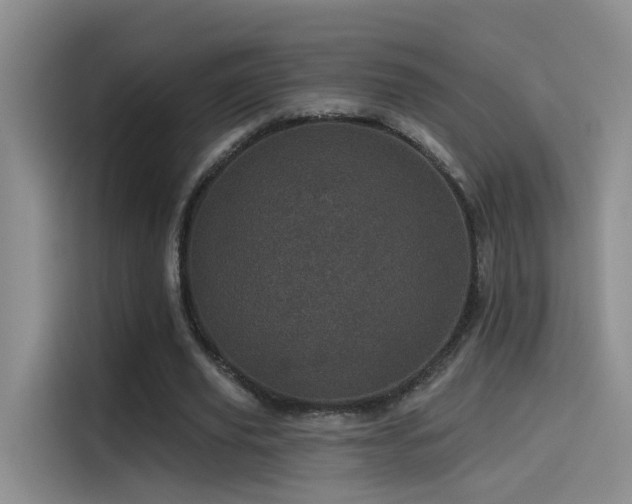 X0000114490629200910191231