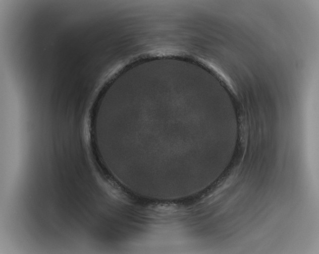 X0000114490631200910191231