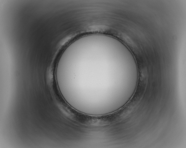 X0000114490632200910191231