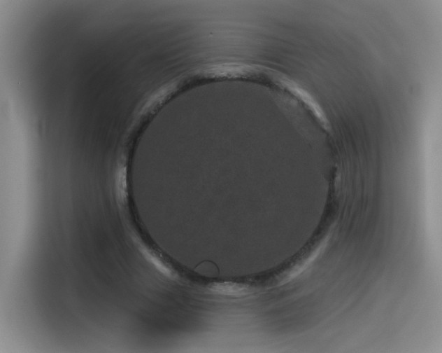 X0000114490633200910191231