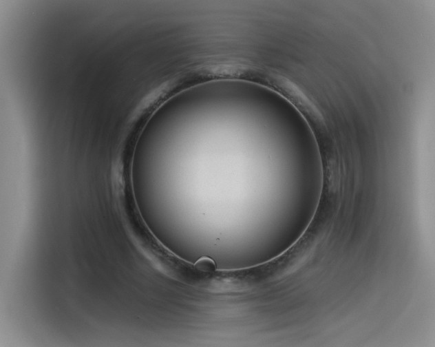 X0000114490634200910191231