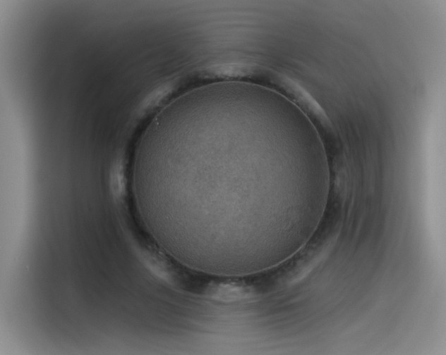 X0000114490635200910191231