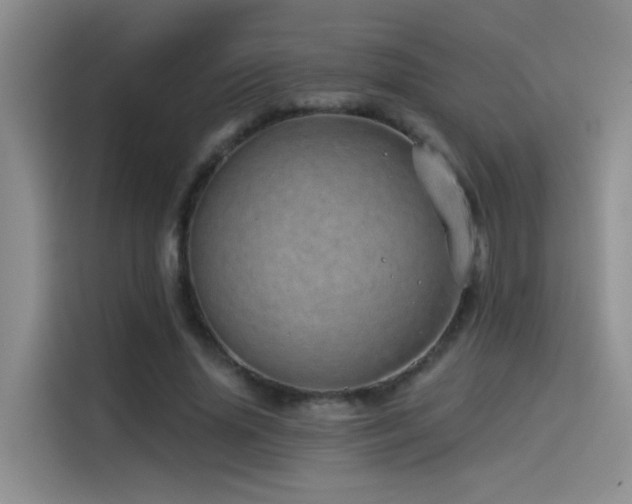 X0000114490636200910191231