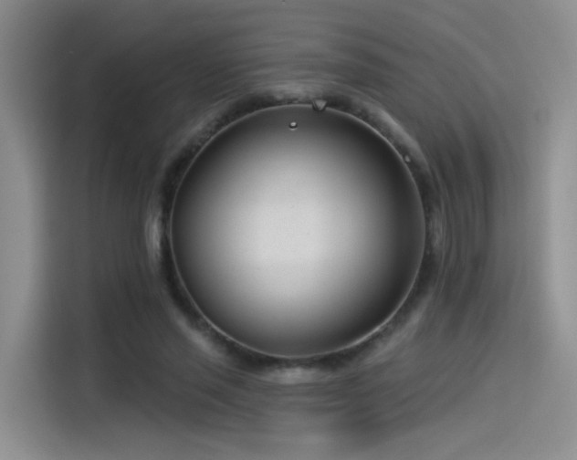 X0000114490637200910191231