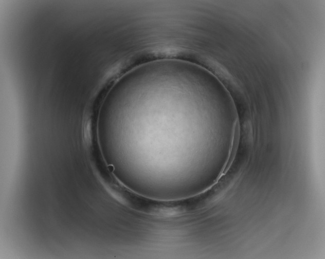 X0000114490638200910191231