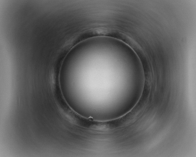X0000114490639200910191231