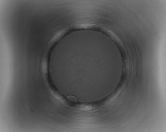 X0000114490640200910191231