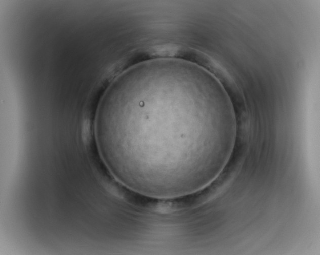 X0000114490641200910191232