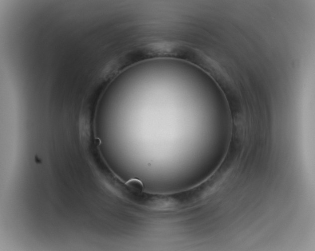 X0000114490642200910191232