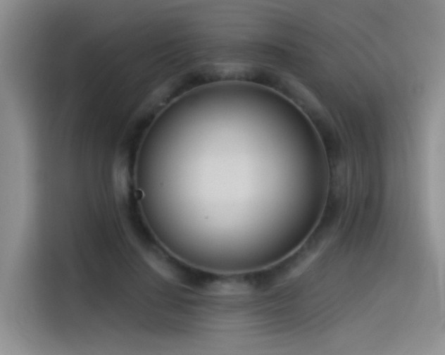 X0000114490644200910191232