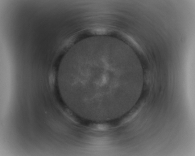 X0000114490645200910191232